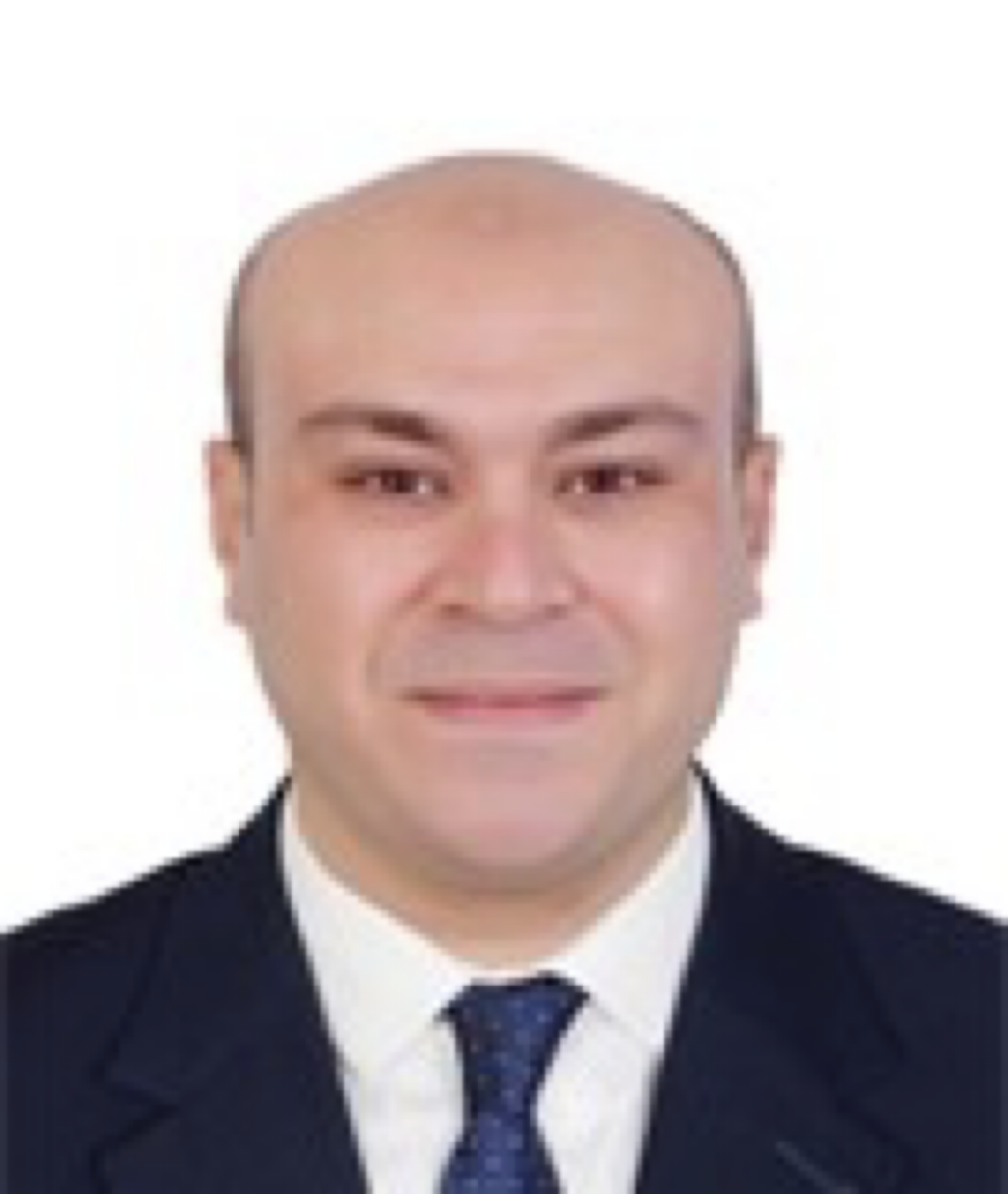 Mr. Medhat Elassy